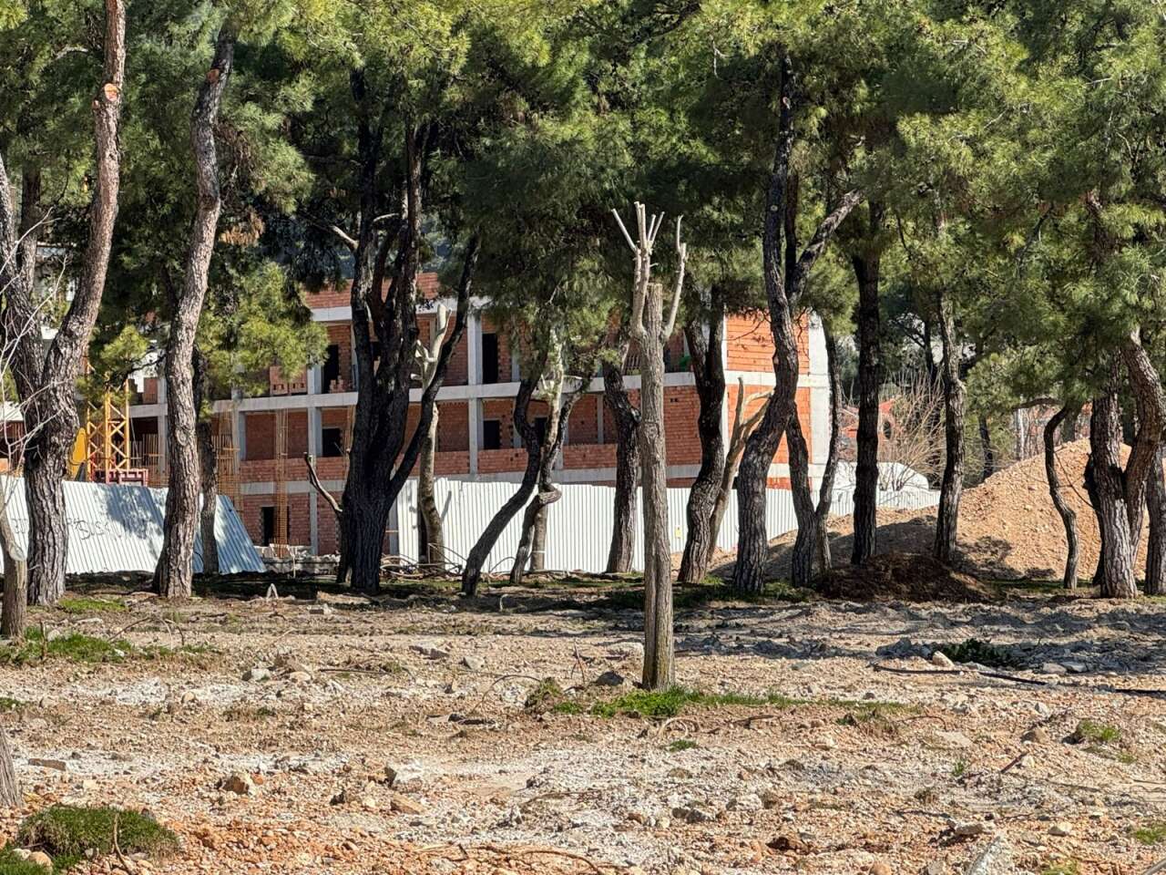 Muğla'daki Parklarda “Beton” Tartışması Büyüyor: 2 Dönümlük Alana 6,4 Milyon TL’lik Yenileme Projesi Gündemde 5